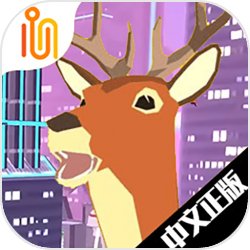 中俄元首会谈